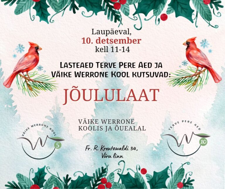 Tagasivaade jõululaadale (video)