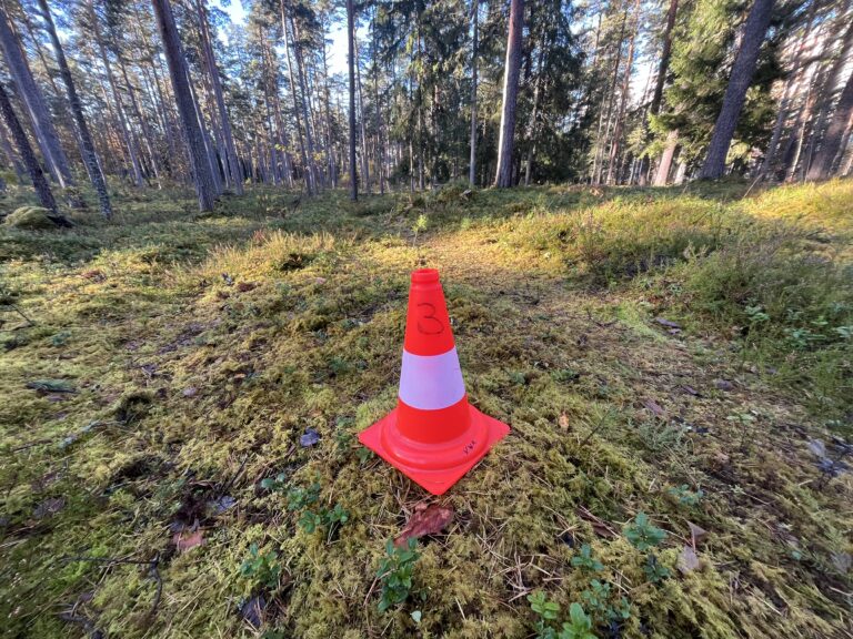 Kogu koolipere orienteerumispäev Kubja metsades