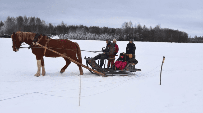 4. klassi talvised seiklused – külastuskäik lauluisa juurde ja lumine saanisõit Vaabinas